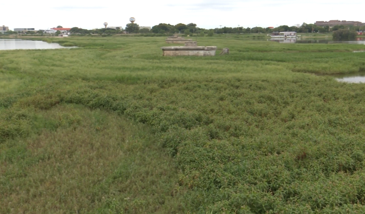 Conforman una mesa de trabajo entre el municipio y los clubes náuticos | Noticias