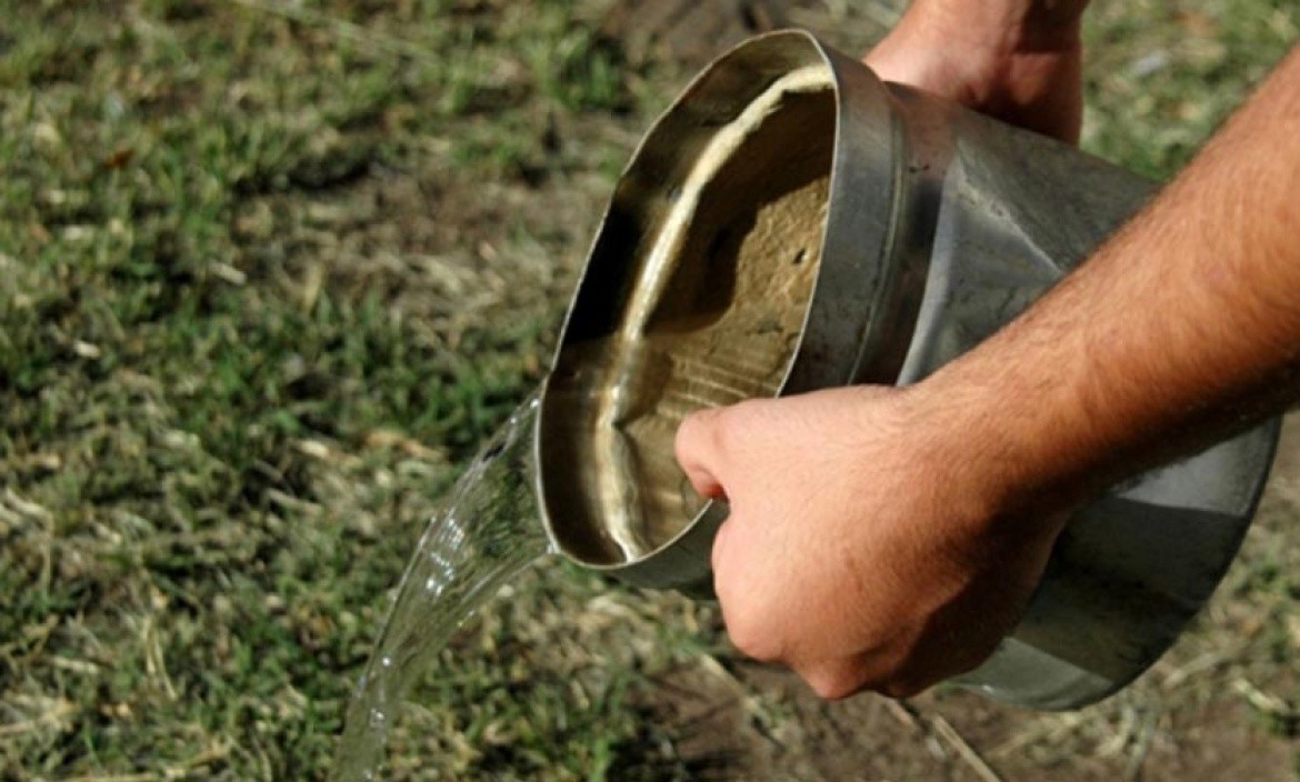 La UNL brinda recomendaciones para prevenir Dengue, Chikungunya y Zika | Salud