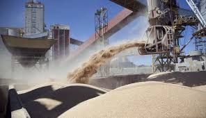 A pesar de las dudas, comenzaron a ingresar dólares de los agroexportadores | Nacionales