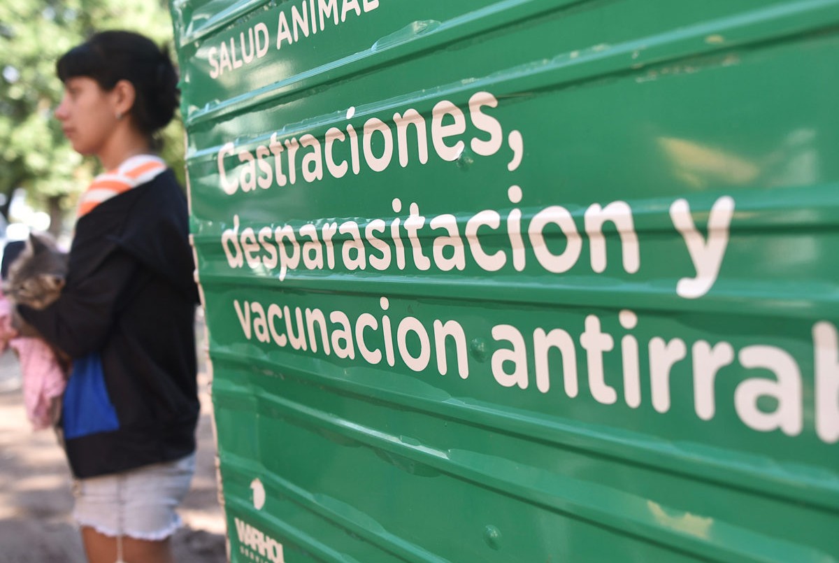 Cuáles son los trabajos de fumigación, iluminación y bacheo previstos para hoy (1) | Información General