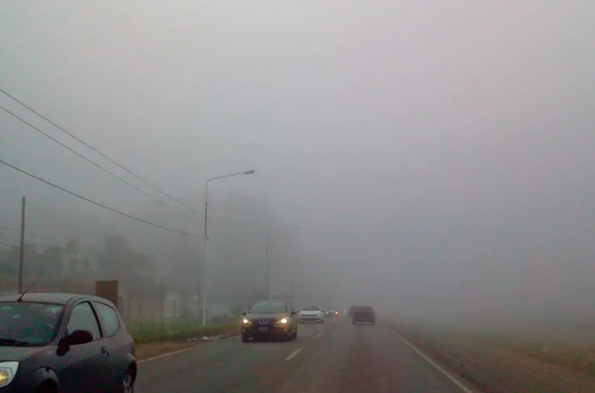 Alerta violeta por densa niebla en casi todo el territorio de la provincia | Información General