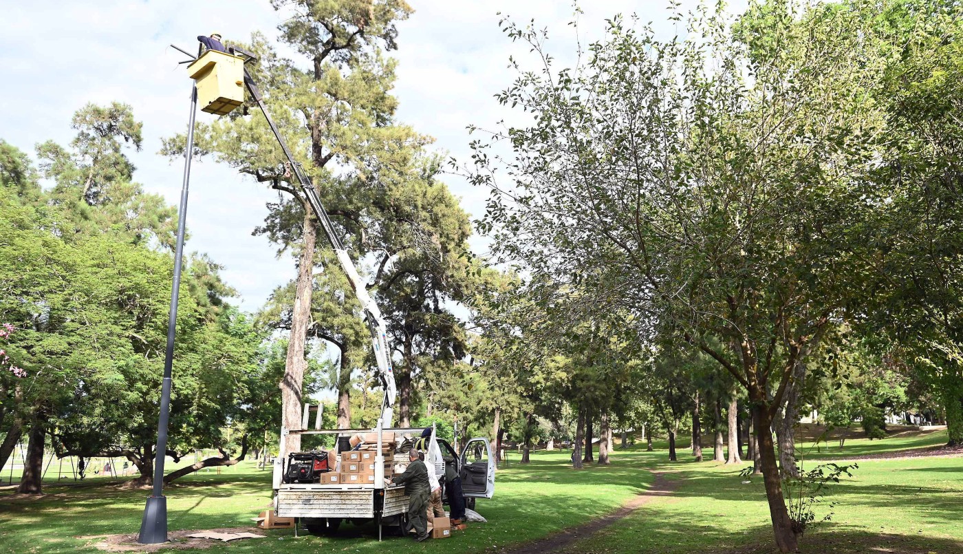 Trabajos de fumigación, iluminación y bacheo previstos para este viernes 5 de mayo | Información General