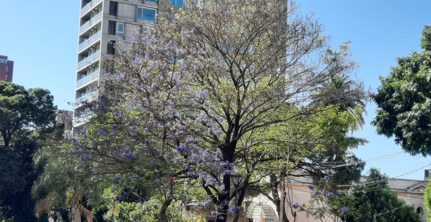 Se espera otra jornada cálida en la ciudad y se podrían registrar algunas lluvias para el viernes | Información General