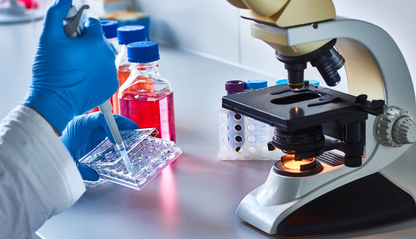 Argentina se posiciona como referente biotecnológico mundial | Nacionales