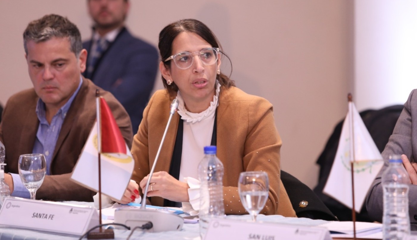 Santa Fe en el Consejo Federal de Relaciones Exteriores | Información General