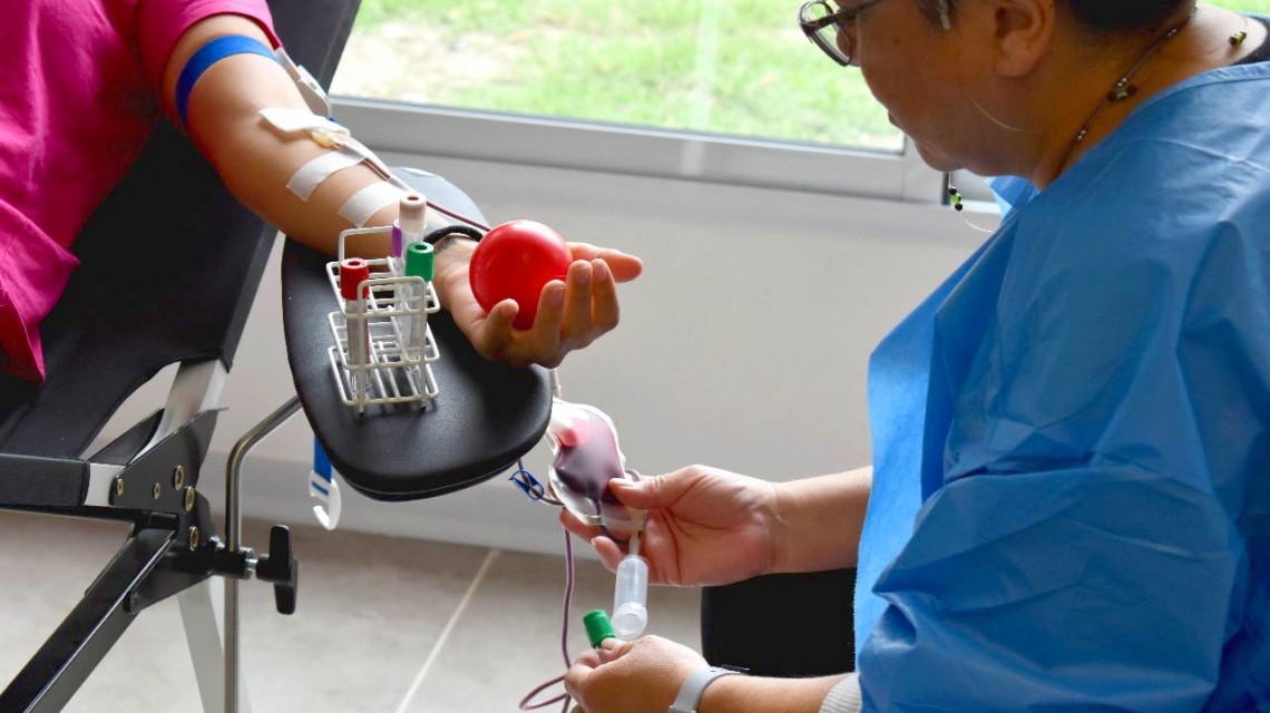 Día Mundial de la Donación de Sangre: Seis colectas se harán en la provincia | Información General