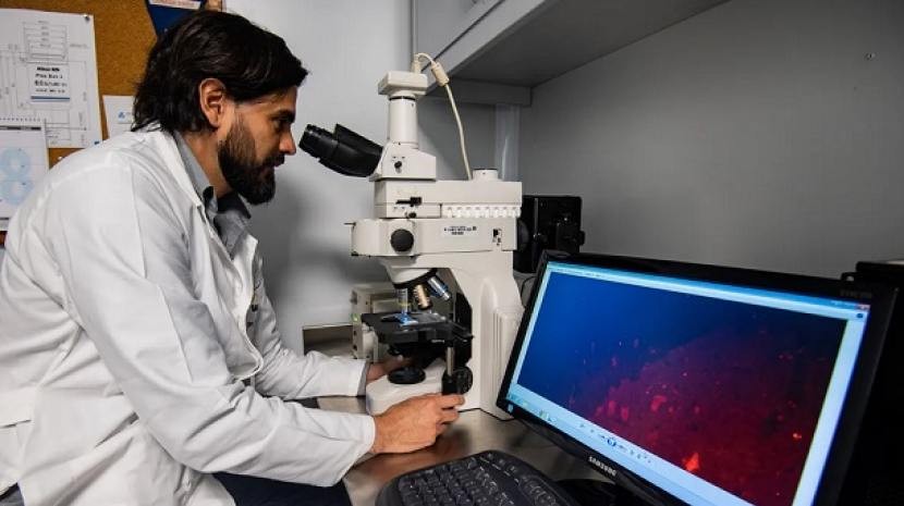 Científicos del Conicet consiguieron un gran avance en la lucha contra el cáncer | Información General