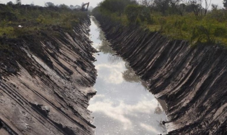 Cecilia Strzyzowski: los huesos encontrados en el río serían humanos | Nacionales