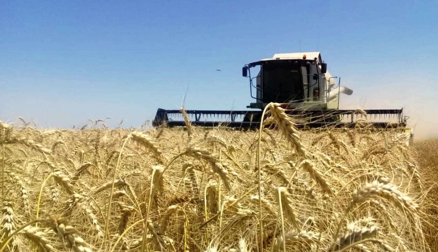 Para el campo, las medidas de Massa “tienen un efecto totalmente inflacionario” | Información General