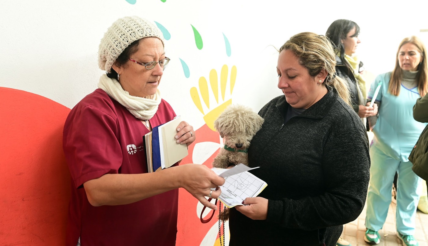 Trabajos de iluminación y bacheo previstos junto a los servicios para este miércoles 2 de agosto | Información General