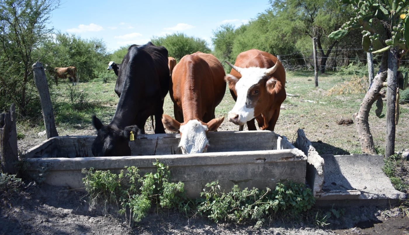 La provincia abre la inscripción a nuevos créditos para el sector agropecuario | Información General