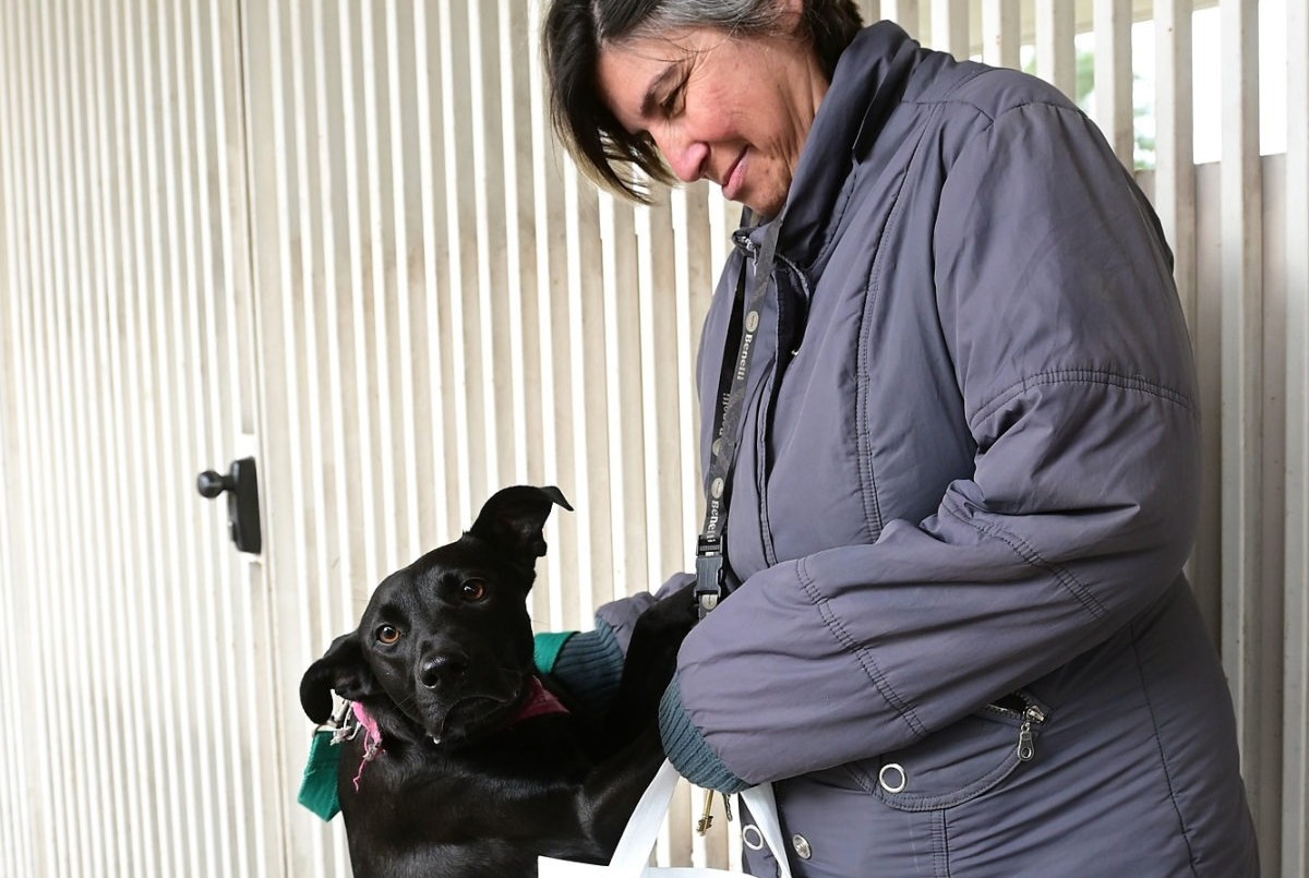 Trabajos de iluminación y bacheo previstos para este lunes 07 | Información General