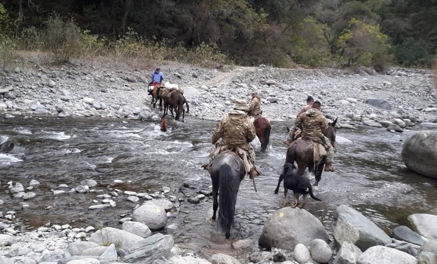 Mulas y aviones para que las urnas lleguen a La Quiaca y la Antártida | Información General
