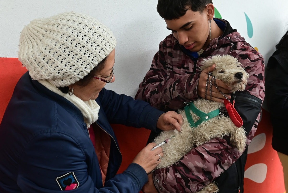 Trabajos de iluminación y bacheo previstos para este martes 22 | Información General