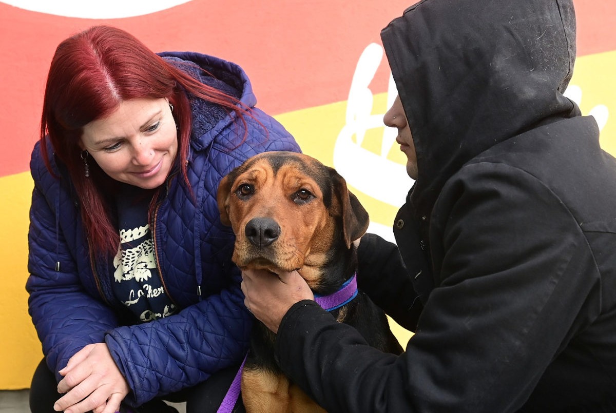 Trabajos de bacheo, iluminación y mantenimiento previstos para este miércoles 6 de septiembre | Información General