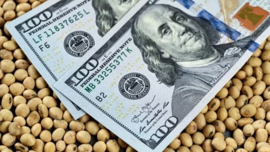 El Gobierno extiende el dólar soja hasta el 20 de octubre para fortalecer las reservas del BCRA | Nacionales