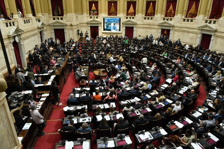 Diputados convocó a una sesión especial para exigir la liberación de rehenes del grupo Hamas | Nacionales