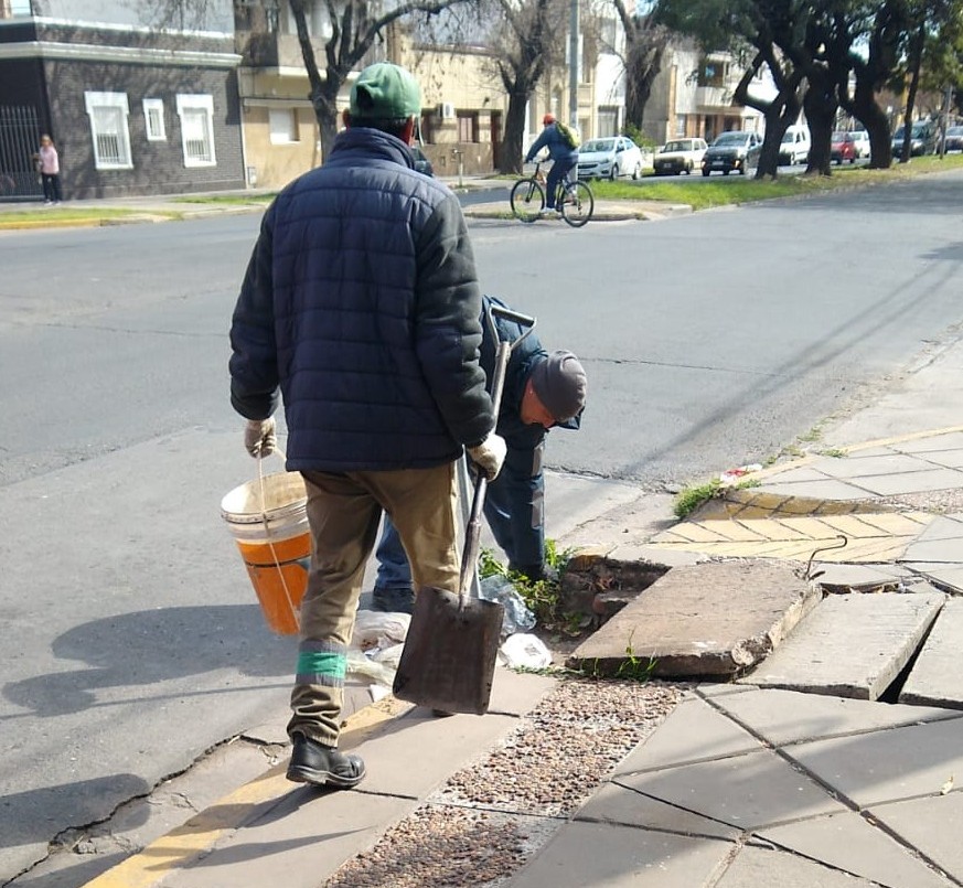 Trabajos de fumigación, bacheo, iluminación y drenaje urbano previstos para este jueves 30 de noviembre | Información General