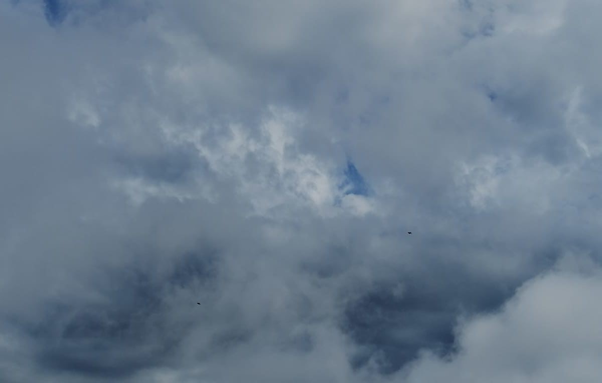 Rige un alerta meteorológico por tormenta para este viernes 15 de diciembre | Información General