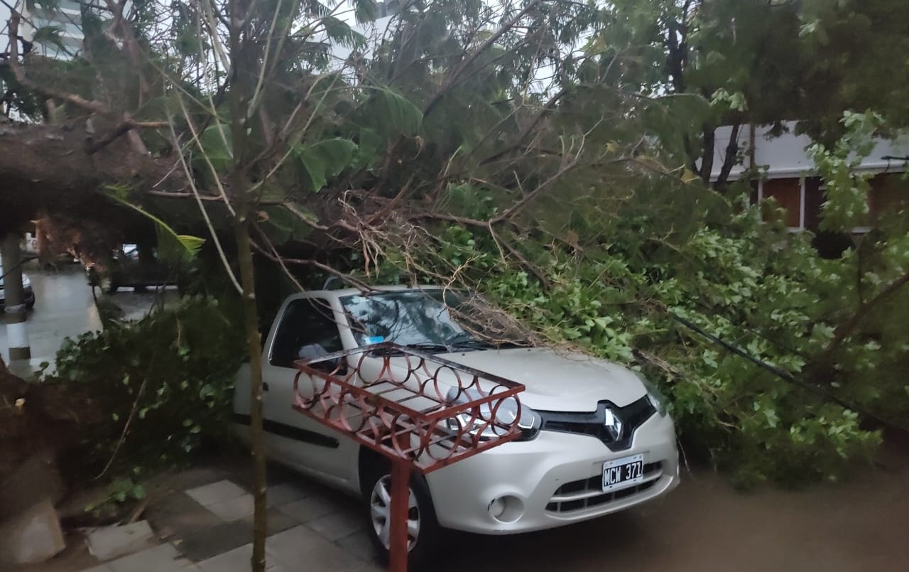 El Gobierno nacional monitorea con la provincia y el municipio el temporal en Bahía Blanca | Nacionales