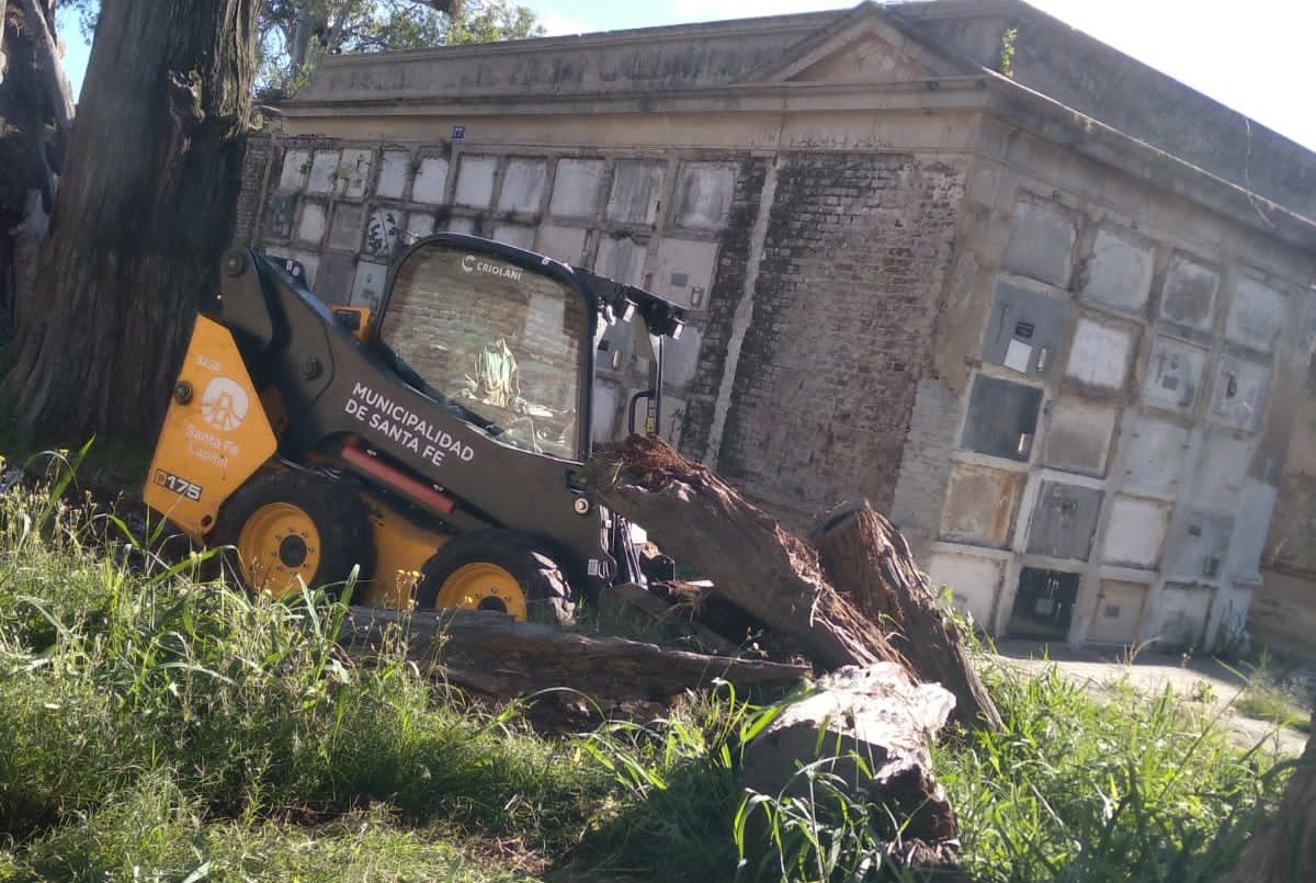 Servicios municipales previstos para este viernes 22 de diciembre | Información General