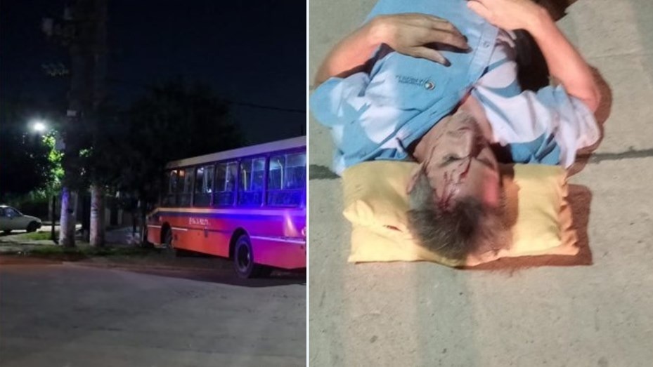 Arrojaron a un chofer al asfalto, le robaron el colectivo y chocaron contra un árbol cuando escapaban | Nacionales