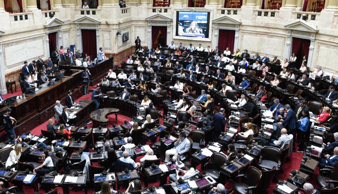 Ley ómnibus: así votaron los diputados santafesinos el proyecto | Información General
