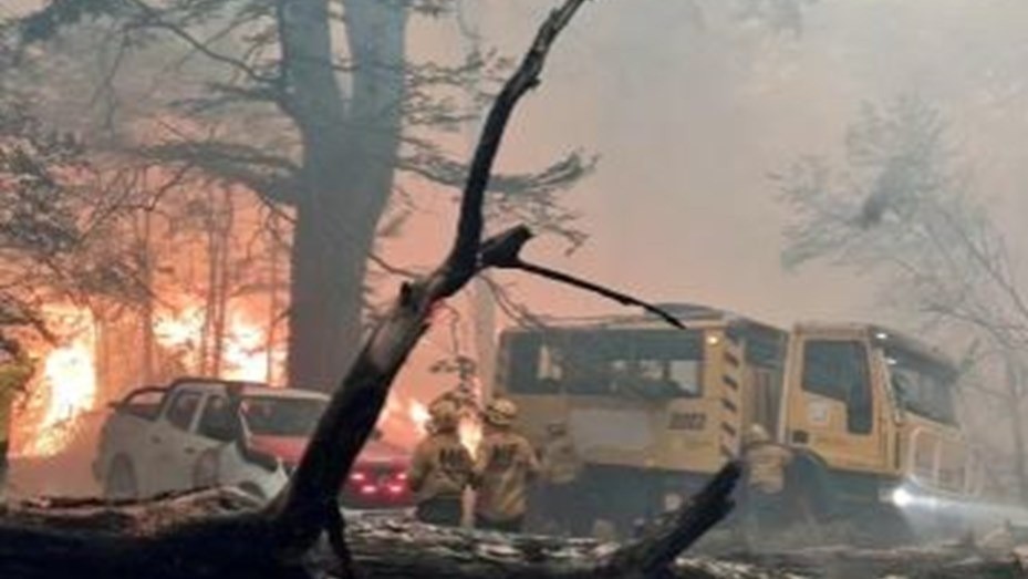 Ofrecen millonaria recompensa para obtener información sobre quién originó el incendio en el Parque Nacional Los Alerces | Nacionales