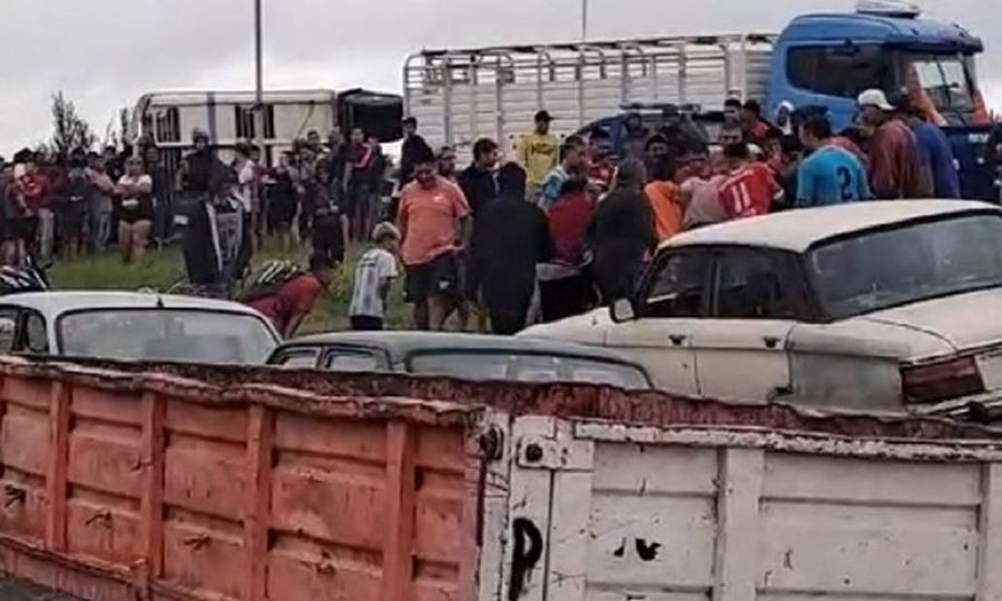 Volcó un camión con vacas en Río Cuarto y los vecinos faenaron a los animales | Nacionales