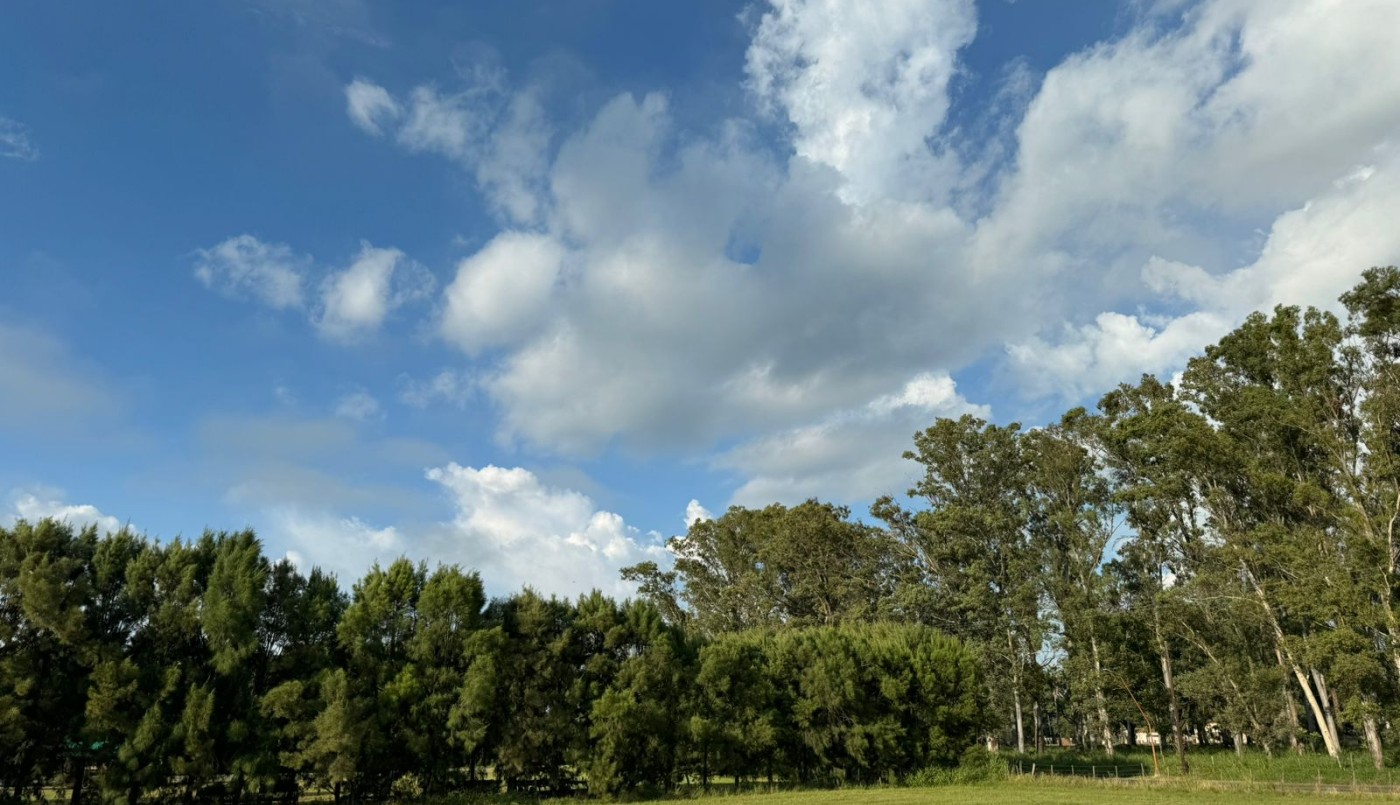 Siguen las temperaturas elevadas este martes | Información General