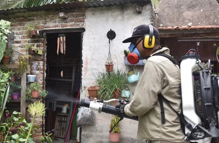 El dengue y la manera en que podemos tomar recaudos | Información General