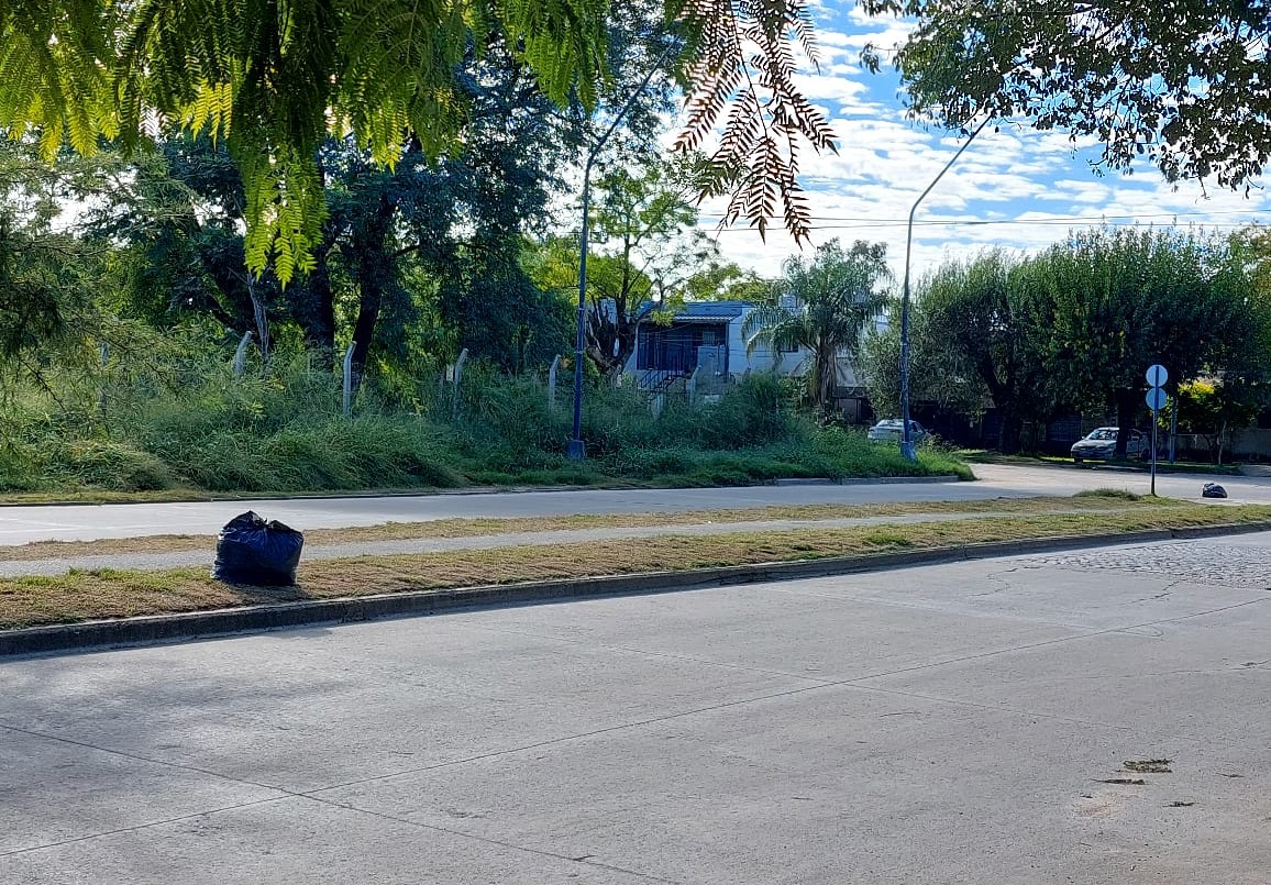 Preocupación de vecinos de Guadalupe por falta de desmalezamiento | Información General