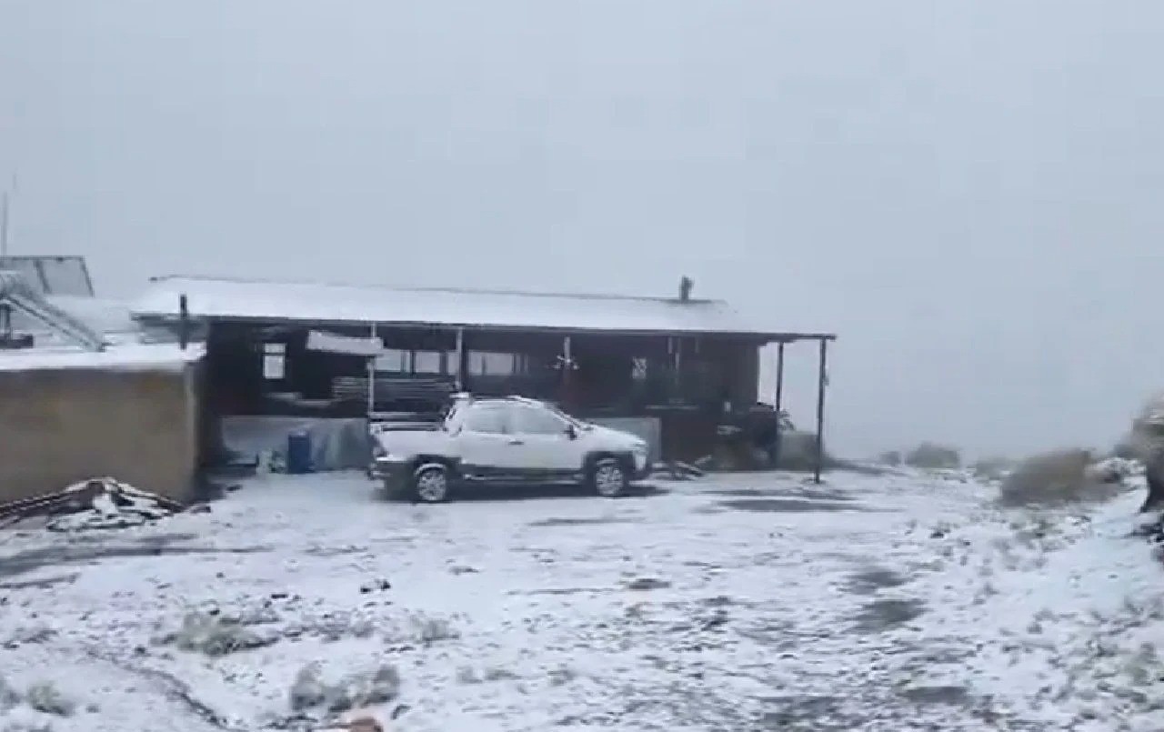 Nieve sorprende a Córdoba: las primeras imágenes del fenómeno en la provincia | Información General