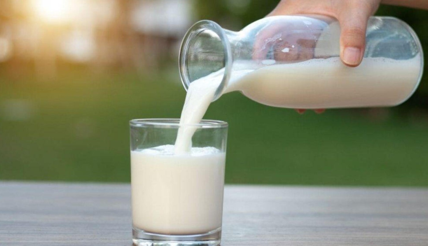 Día mundial de la leche: conocé sus beneficios | Información General
