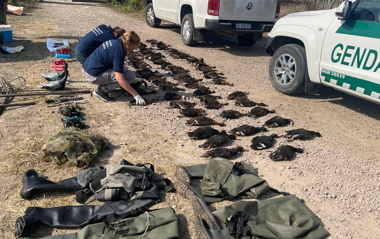 Detienen a dos extranjeros por cazar ilegalmente en el norte provincial | Información General