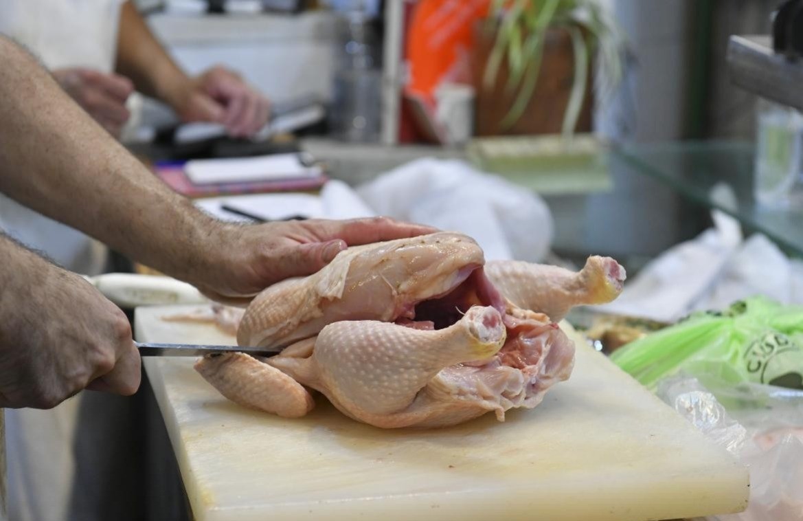 El consumo de pollo aumenta a ritmo “sostenido” en Santa Fe | Información General