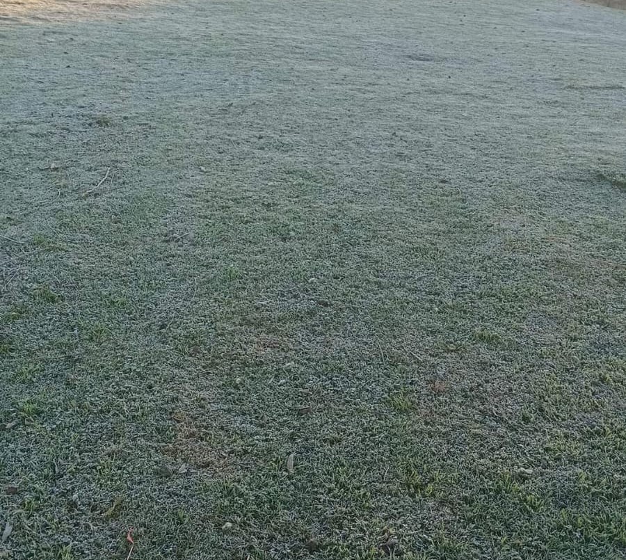 Domingo frío y soleado en la ciudad (1) | Información General