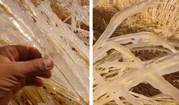 Advierten que el invierno 2024 podría ser el segundo más frío de los últimos 60 años | Nacionales