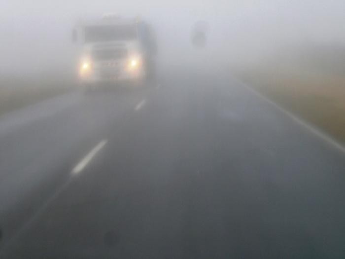 Transito: presencia de niebla y neblinas en todas las rutas de la provincia | Información General