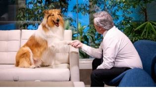 Milei le ofreció a Alberto Fernández adoptar a su perro Dylan | Nacionales