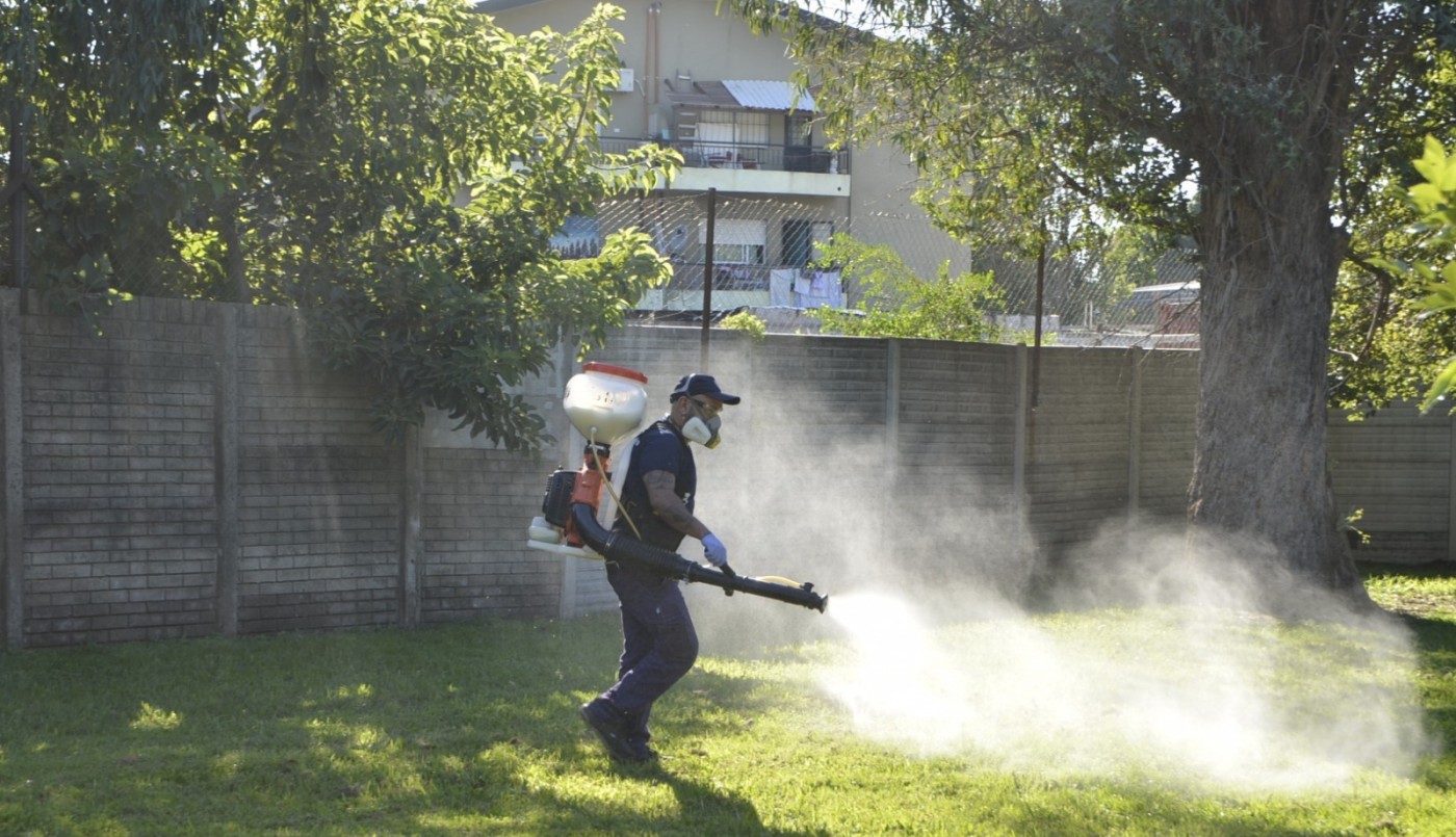 Alarma por la presencia del mosquito del dengue en toda la provincia: piden extremar cuidados | Salud
