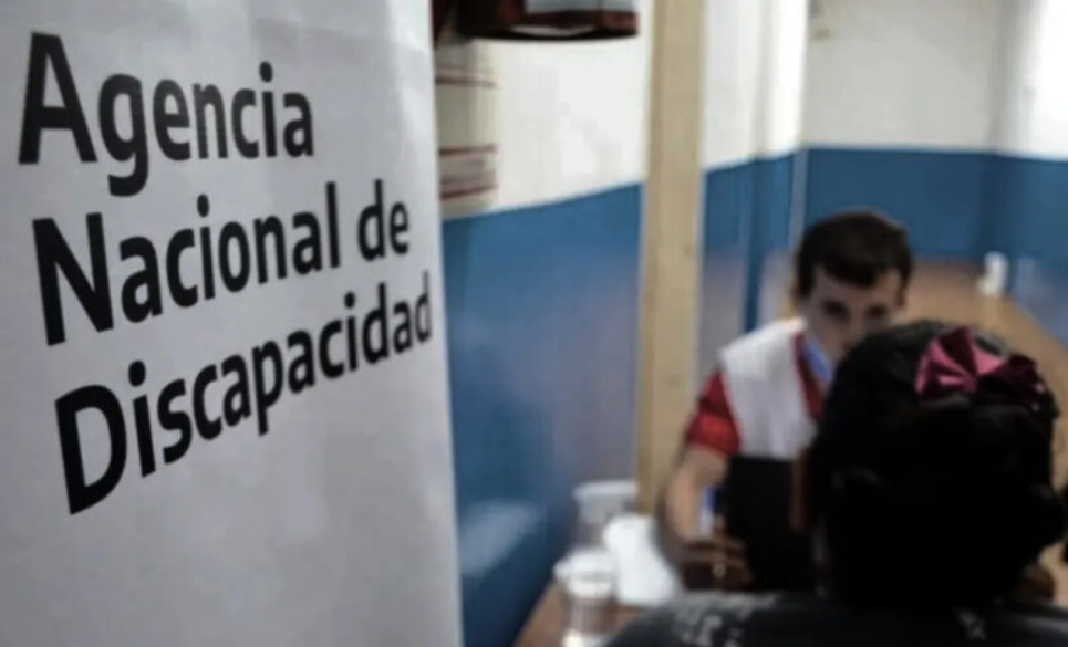 Irregularidades: el Gobierno nacional avanzará con la baja de 200.000 pensiones por discapacidad | Nacionales