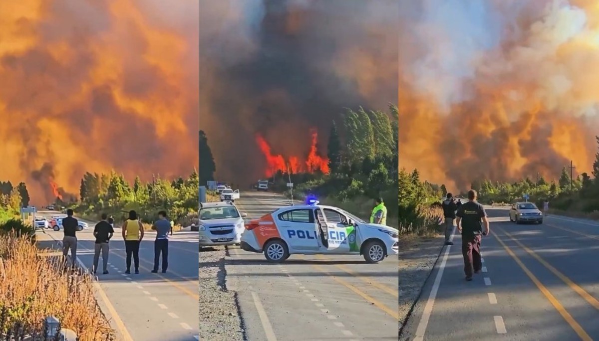 "La situación es desgarradora”, dijo el presidente del comité de Bomberos de El Bolsón | Nacionales