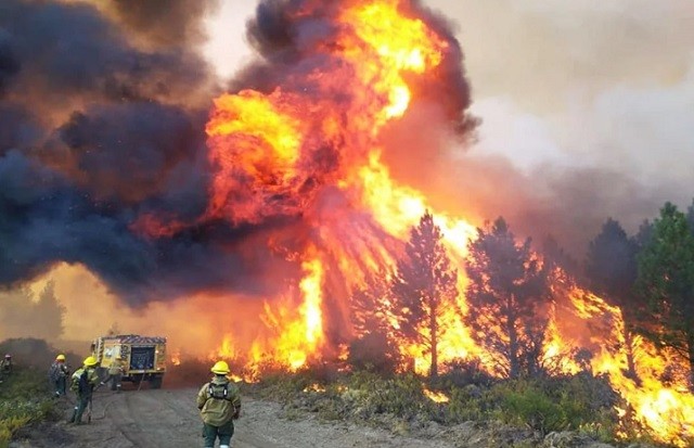 Incendios: más de 250 mil hectáreas en Corrientes y siguen las llamas en El Bolsón y Nahuel Huapi | Nacionales