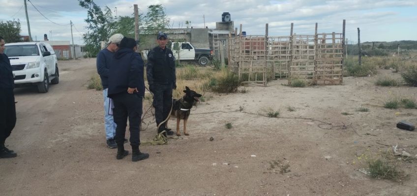 Brutal femicidio en Río Negro: dos hombres fueron imputados por matarla e incendiar su cuerpo | Nacionales