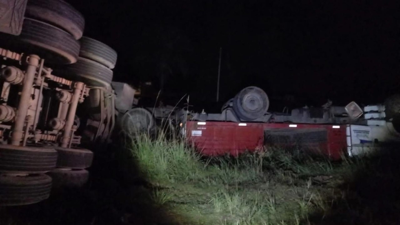 Un camión chocó contra un caballo: el animal falleció casi al instante | Policiales