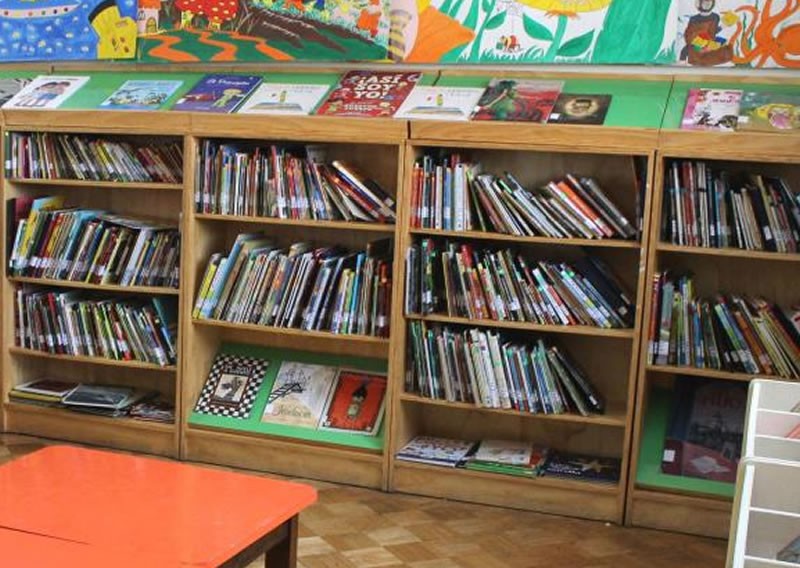 Educación: el 59% de los chicos argentinos tienen menos de 20 libros en sus casas | Nacionales
