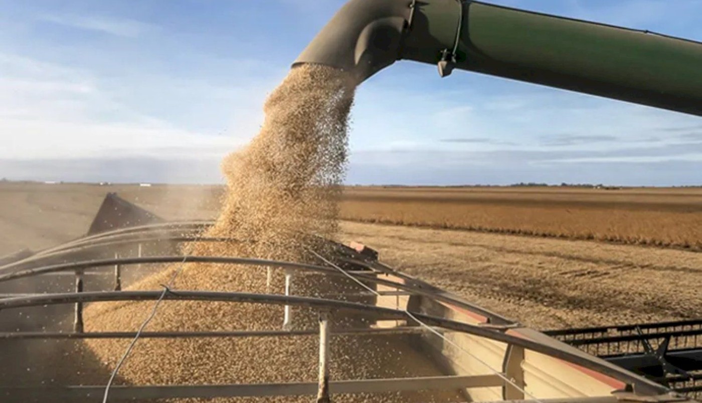 La liquidación de agro exportadores subió 32% en abril en forma interanual | Nacionales