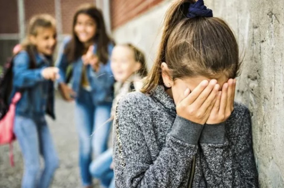 Bullying y suicidio adolescente: cifras que preocupan a nivel nacional | Nacionales