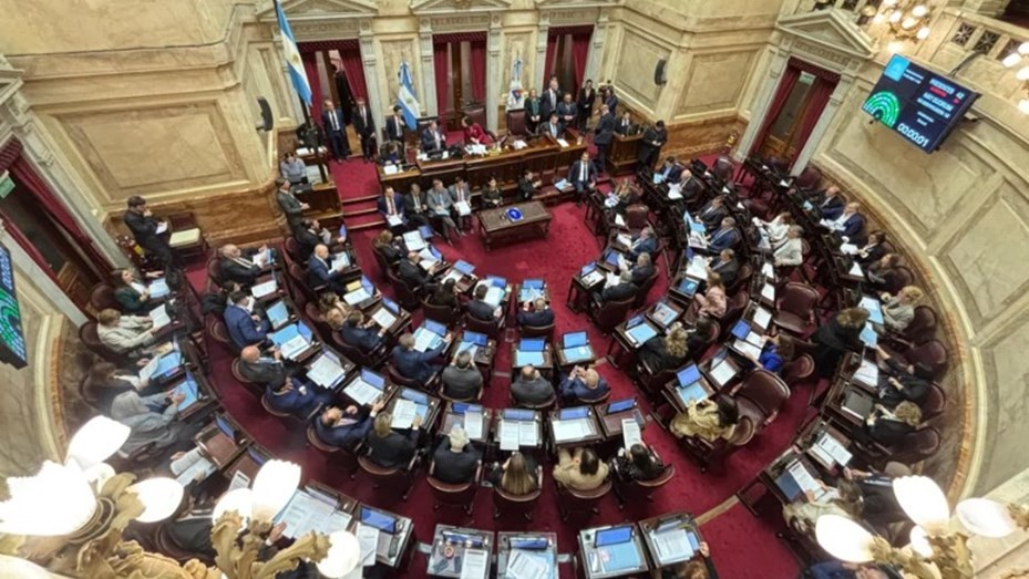 El Senado rechazó el proyecto de ley de Ficha Limpia | Nacionales